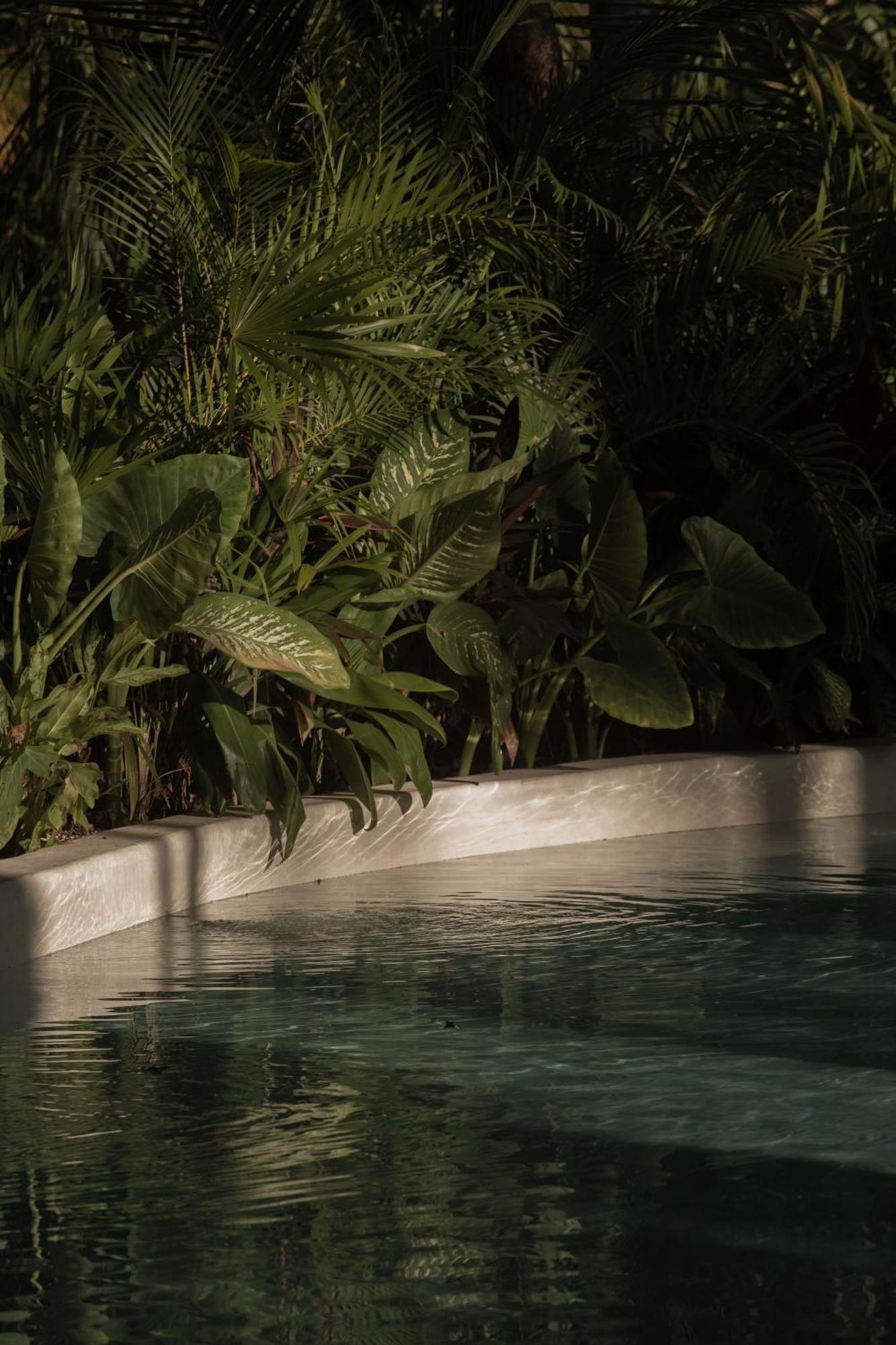 Hotel Milam Tulum Extérieur photo